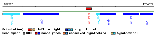 gene map