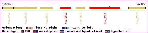 gene map