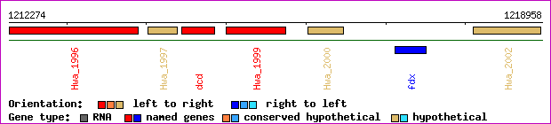 gene map