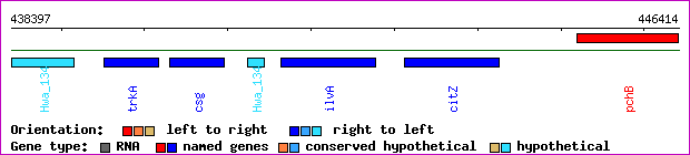 gene map