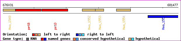 gene map