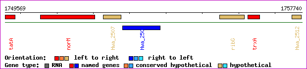 gene map