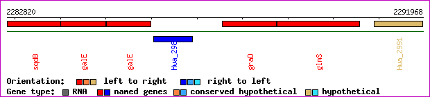 gene map