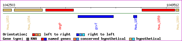 gene map