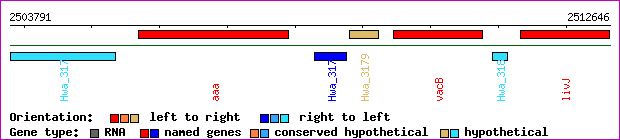 gene map
