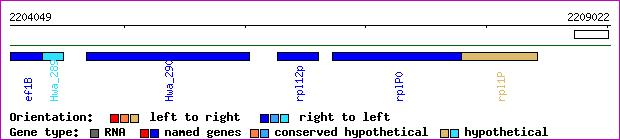gene map