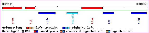 gene map