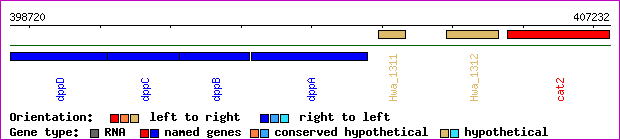 gene map