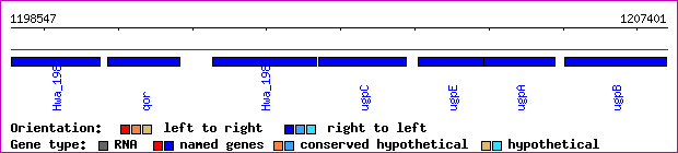 gene map
