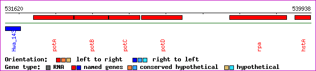 gene map