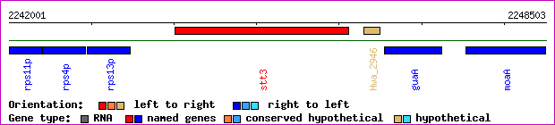 gene map
