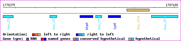 gene map