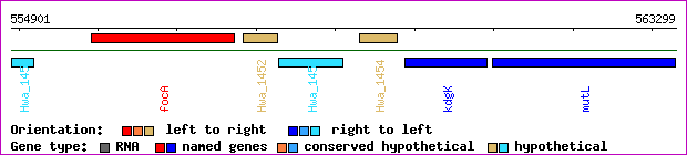gene map