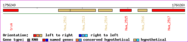 gene map