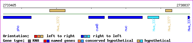gene map