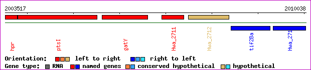 gene map