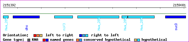 gene map