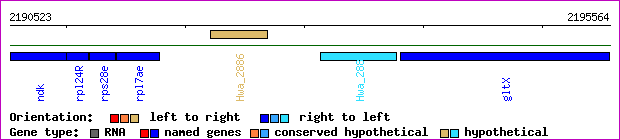 gene map