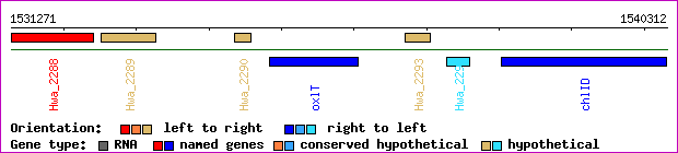 gene map