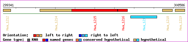 gene map