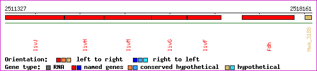 gene map