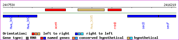 gene map