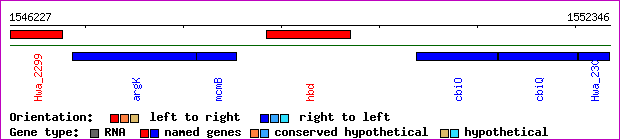gene map