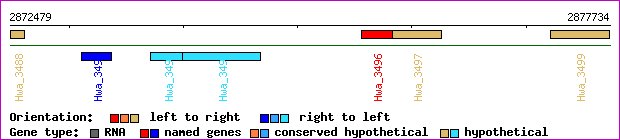 gene map