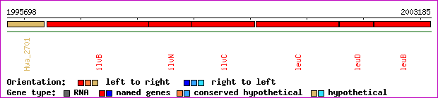 gene map