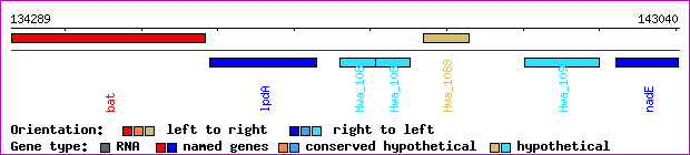 gene map