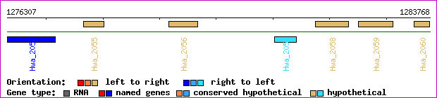 gene map
