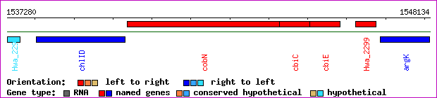 gene map