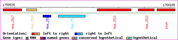 gene map