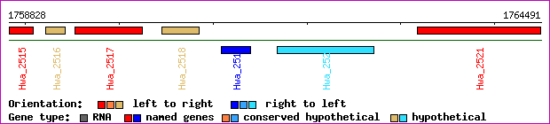 gene map