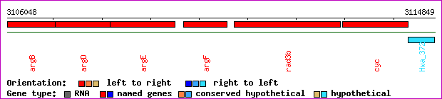 gene map