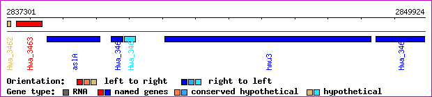 gene map