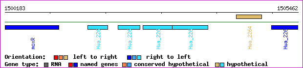 gene map