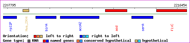 gene map