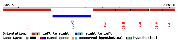 gene map