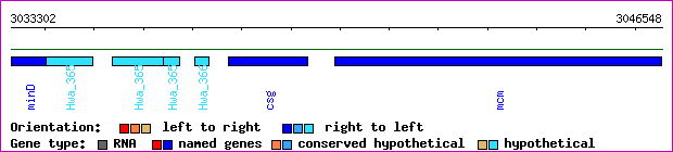 gene map