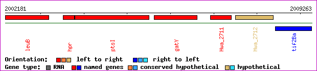 gene map