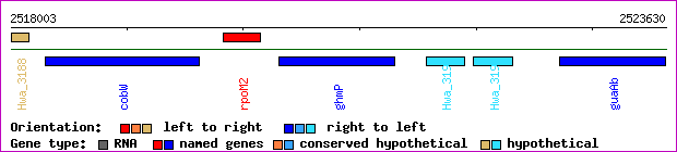 gene map