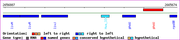 gene map