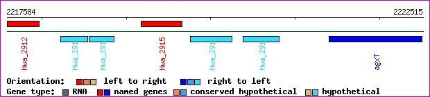 gene map