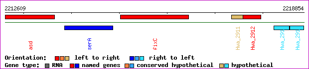 gene map