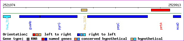 gene map