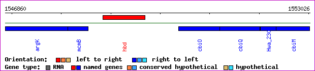 gene map
