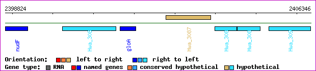 gene map