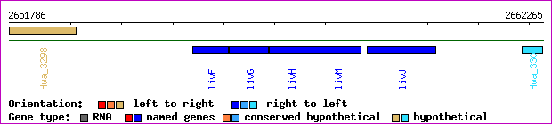 gene map