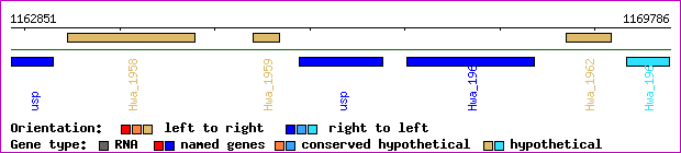 gene map